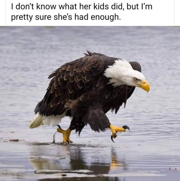 Meet your Posher, Keith - Picture 1 of 1